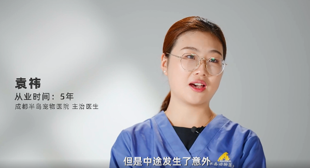 2023中国兽医日人物专访 | 袁祎—新进兽医的进阶之路 2023中国兽医日人物专访 | 袁祎—新进兽医的进阶之路