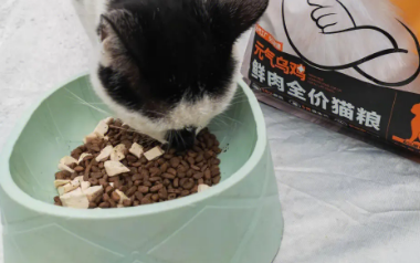元气物语猫粮,帮助补充猫咪体内所需营养 元气物语猫粮,帮助补充猫咪体内所需营养