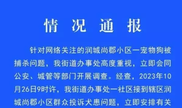 安徽安庆通报宠物犬被捕杀：处置人员被行拘10日