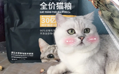 鲜生纪猫粮是哪个公司的 鲜生纪猫粮是哪个公司的