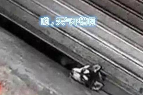 二哈头卡在卷闸门下,路人跑去营救,下一秒却被气疯了 二哈头卡在卷闸门下,路人跑去营救,下一秒却被气疯了