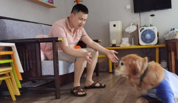 今天最后一天上班啦！江苏首只导盲犬服役9年 迎来“退休”