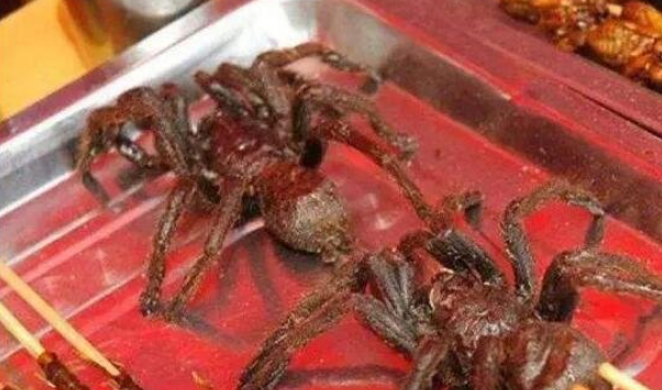 烤蜘蛛可以吃吗