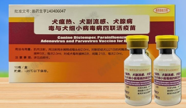 中牧犬四联疫苗效果怎么样