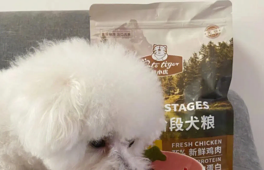 胖小虎宠物食品:满足宠物狗的健康与美味需求 胖小虎宠物食品:满足宠物狗的健康与美味需求