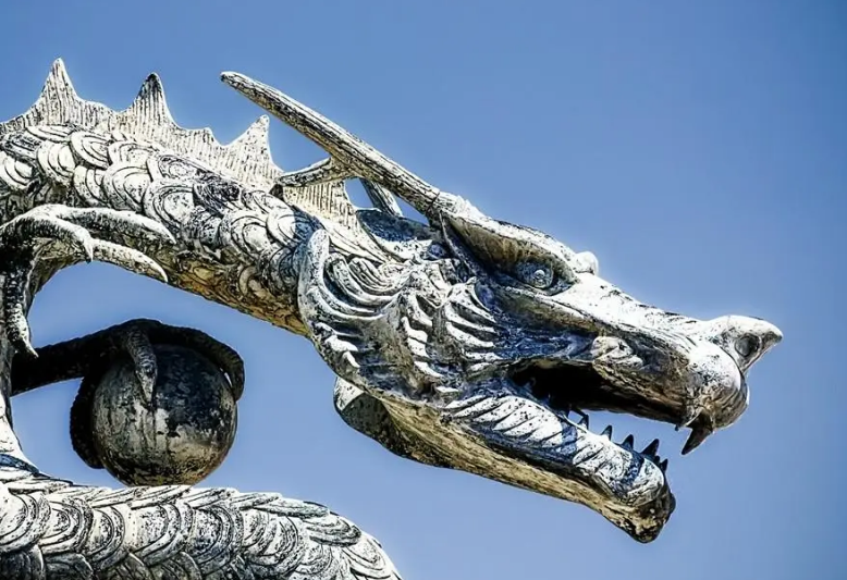 金龙盘玉柱是什么梗 金龙盘玉柱是什么梗