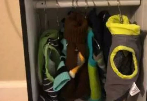 狗狗太喜欢穿衣服，可爱爷爷花两天时间给狗狗做小衣柜萌翻网友