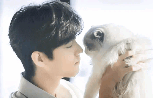 肖战的猫什么时候养的