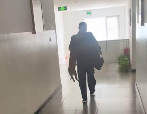 两只小狗跑进女生公寓里,被保安大叔给捉到拎了出来 两只小狗跑进女生公寓里,被保安大叔给捉到拎了出来