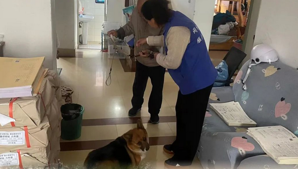 文明养犬 “宠”爱有方 不掉“链”