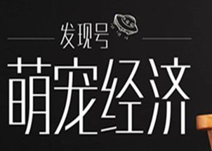 宠物经济：吃、用、病、葬都是生意