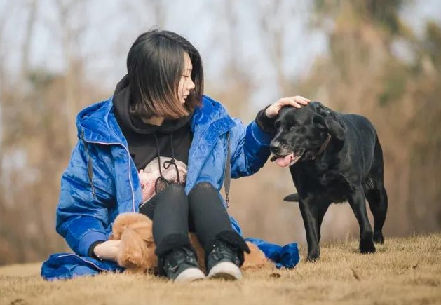 网友建议西安各小区加强宠物登记管理，警方：已连夜紧急通知