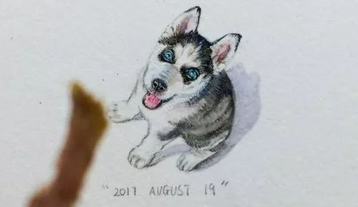 美术课老师教学生画哈士奇,一学生画出了“抽象派”,画风清奇 美术课老师教学生画哈士奇,一学生画出了“抽象派”,画风清奇