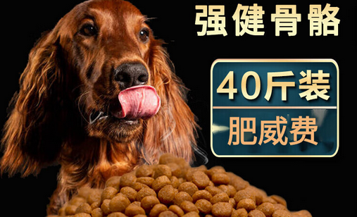 肥威费狗粮好不好，快来看看~