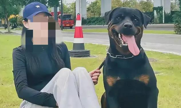 恶犬主人19小时后才投案自首，单身美”