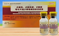 中牧犬四联疫苗效果怎么样