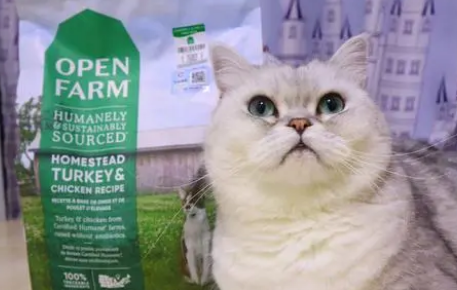 openfarm猫粮怎么样 openfarm猫粮怎么样