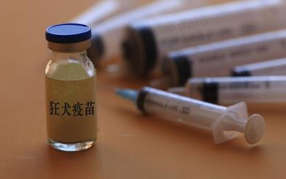 为什么央视都承认了十日观察法 为什么央视都承认了十日观察法