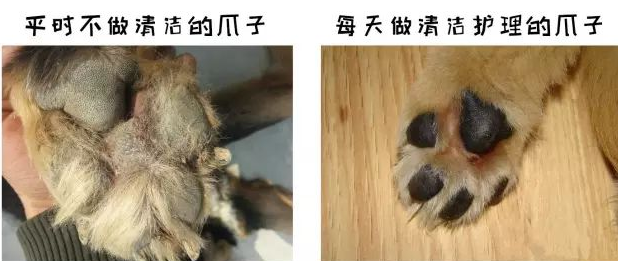 雅各仕足部护理套装，足部清洁，防止干裂