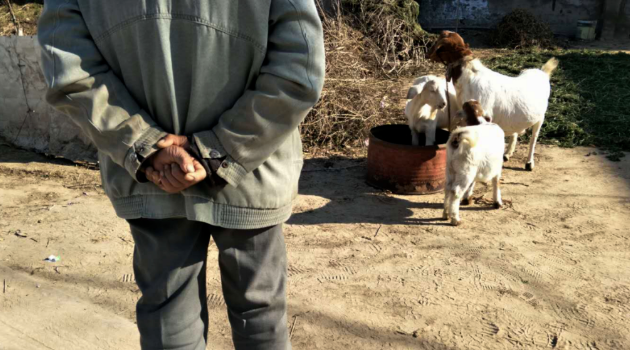 儿不嫌母丑，狗不嫌家贫，再穷也不卖看家狗！