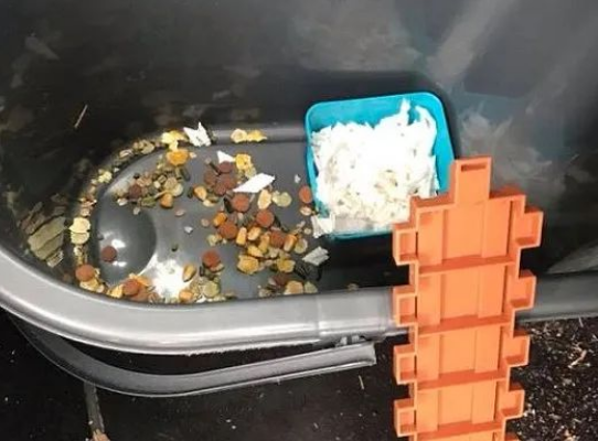 仓鼠越狱后果多严重？在车里打洞，放火烧了两条狗