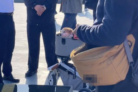 女子要带宠物狗进景德镇一博物馆参观被拒，回应：不允许
