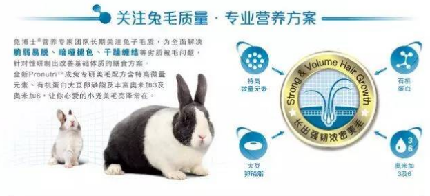 兔博士Pronutri™专研美毛配方兔粮——让你的兔子拥有健康、美丽的毛发