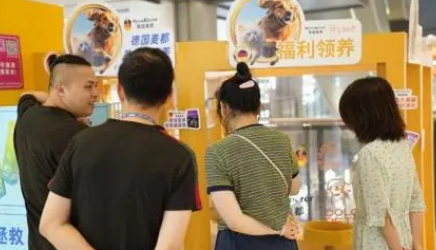 麦都宠医怎么样?靠谱不? 麦都宠医怎么样?靠谱不?