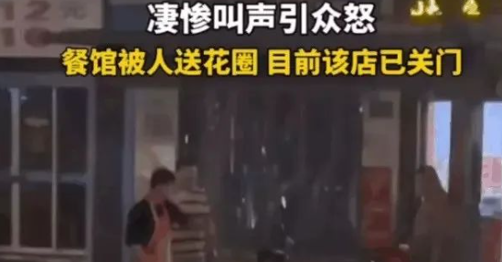 武汉餐馆烫死怀孕母狗后续,更多细节曝光!商家:响应号召而已! 武汉餐馆烫死怀孕母狗后续,更多细节曝光!商家:响应号召而已!
