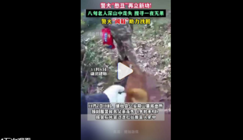 汪汪队立大功!老人深山走失30小时被警犬找到 汪汪队立大功!老人深山走失30小时被警犬找到