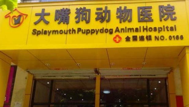 宠物医院加盟排行哪家好 宠物医院加盟排行哪家好