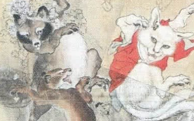 日本网友养了一只奇怪的猫,行为举止让人相当惊讶!像是一只猫妖 日本网友养了一只奇怪的猫,行为举止让人相当惊讶!像是一只猫妖