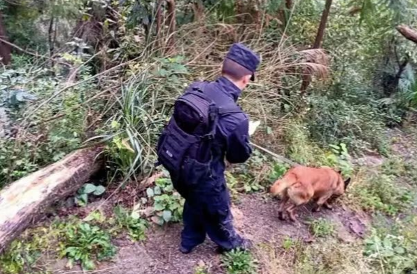 警犬“憨豆”，又立功了！