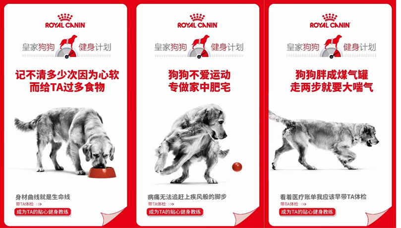 宠物体重管理:以科学预防维护宠物健康 宠物体重管理:以科学预防维护宠物健康