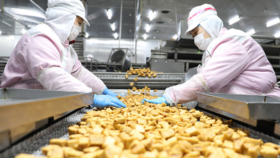 辽宁米澳宠物食品如何 辽宁米澳宠物食品如何