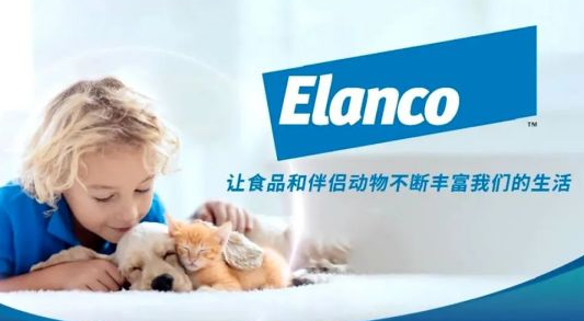 常用肠健康-礼蓝动保中国首款宠物胃肠健康产品常清萌上市 常用肠健康-礼蓝动保中国首款宠物胃肠健康产品常清萌上市