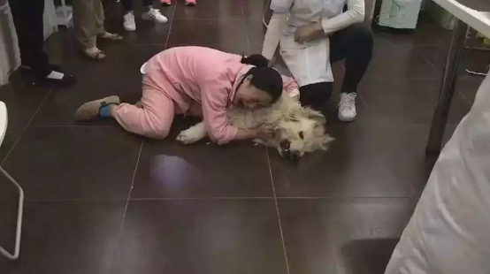 “我在美国养了8年的狗,刚带回国就被邻居毒杀了……” “我在美国养了8年的狗,刚带回国就被邻居毒杀了……”