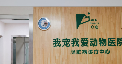 我爱我宠动物医院——打造全方位动物健康关怀 我爱我宠动物医院——打造全方位动物健康关怀