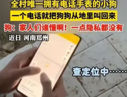 科技改变宠物生活：电话手表下的“高科技”狗狗