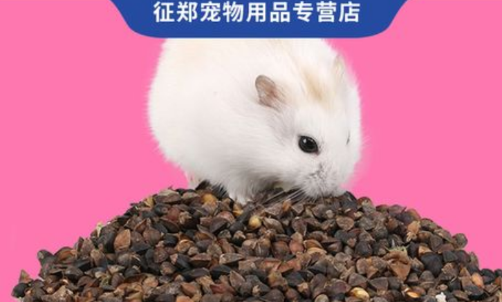 征郑仓鼠粮,品质好,服务好! 征郑仓鼠粮,品质好,服务好!