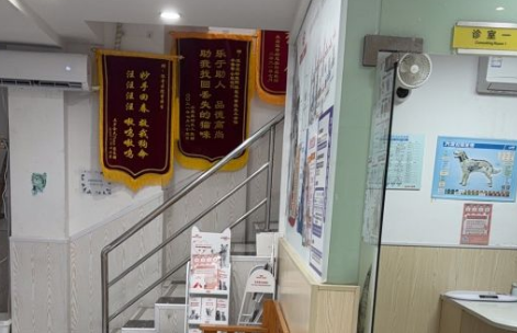 派奇宠物医院,专业,负责! 派奇宠物医院,专业,负责!