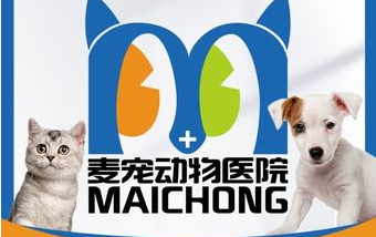 麦宠动物医院:专业、先进、贴心的全方位优势 麦宠动物医院:专业、先进、贴心的全方位优势