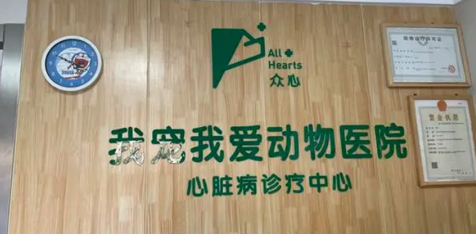 我爱我宠动物医院——打造全方位动物健康关怀 我爱我宠动物医院——打造全方位动物健康关怀