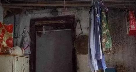 “啊?你这种条件还养什么猫?” “啊?你这种条件还养什么猫?”
