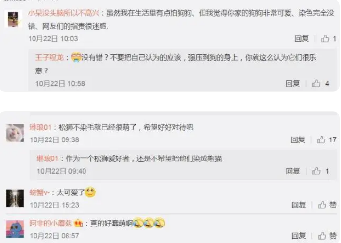 成都咖啡馆将松狮犬染成“熊猫色” 网友：想过狗狗的感受吗