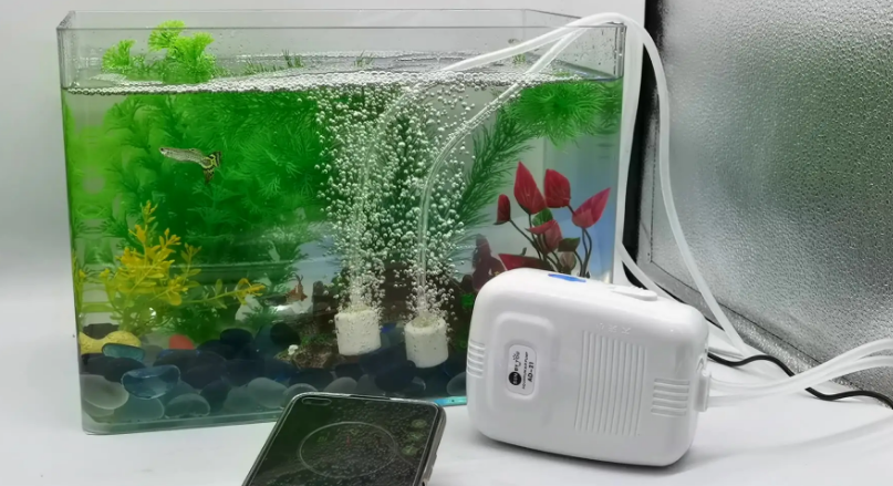 鱼缸增氧机正确使用方法