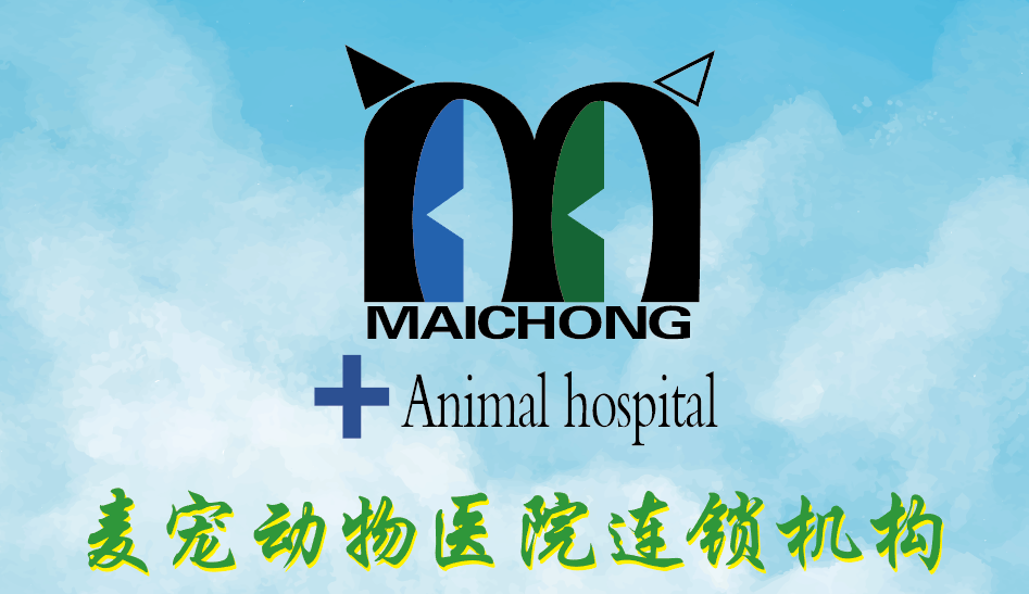 麦宠动物医院:专业,先进,贴心的全方位优势