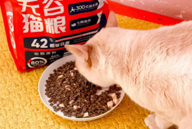 鲜生纪猫粮怎么样 鲜生纪猫粮怎么样