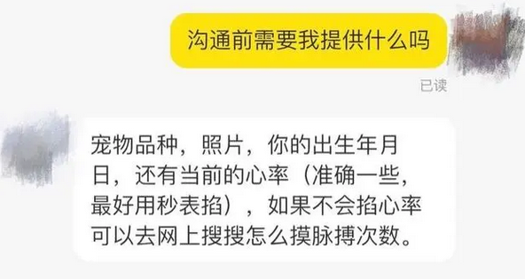自称能与“动物传心”，甚至与离世动物建立联结，宠物沟通师是玄学还是骗局？