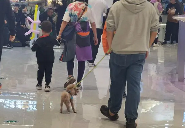 带狗逛商场，还不遵守规定，这家“宠物友好”商场引发争议